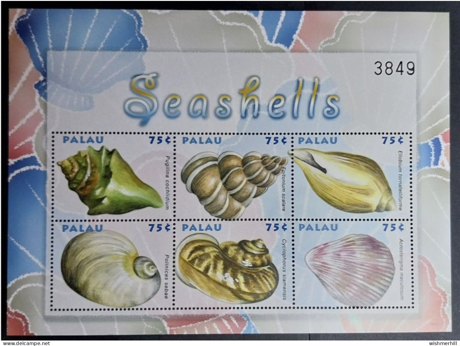 Coquillages Shells // Bloc Neuf ** MNH ; Palau BF 216 (2009) Cote 15 € - Palau
