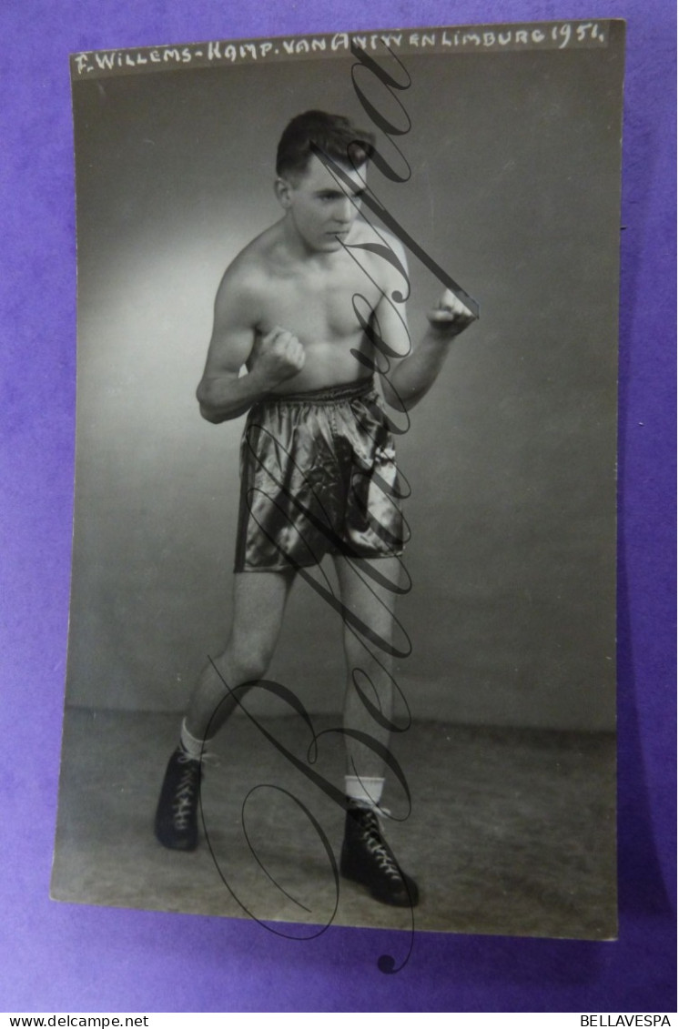 Boksen Bokser Boxeur Boxing Boxer "F.WILLEMS" Kampioen Antwerpen Limburg   Fotokaart Photo HALLEUX Berchem  1951 - Boxe