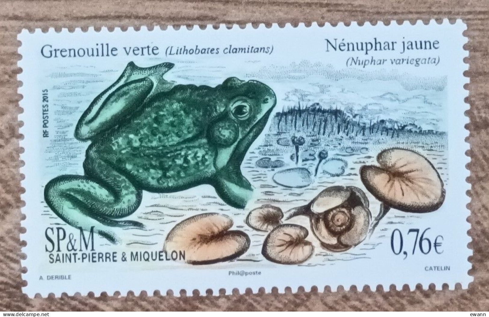 Saint Pierre Et Miquelon - YT N°1141 - Faune Et Flore / Grenouille Verte - 2015 - Neuf - Unused Stamps
