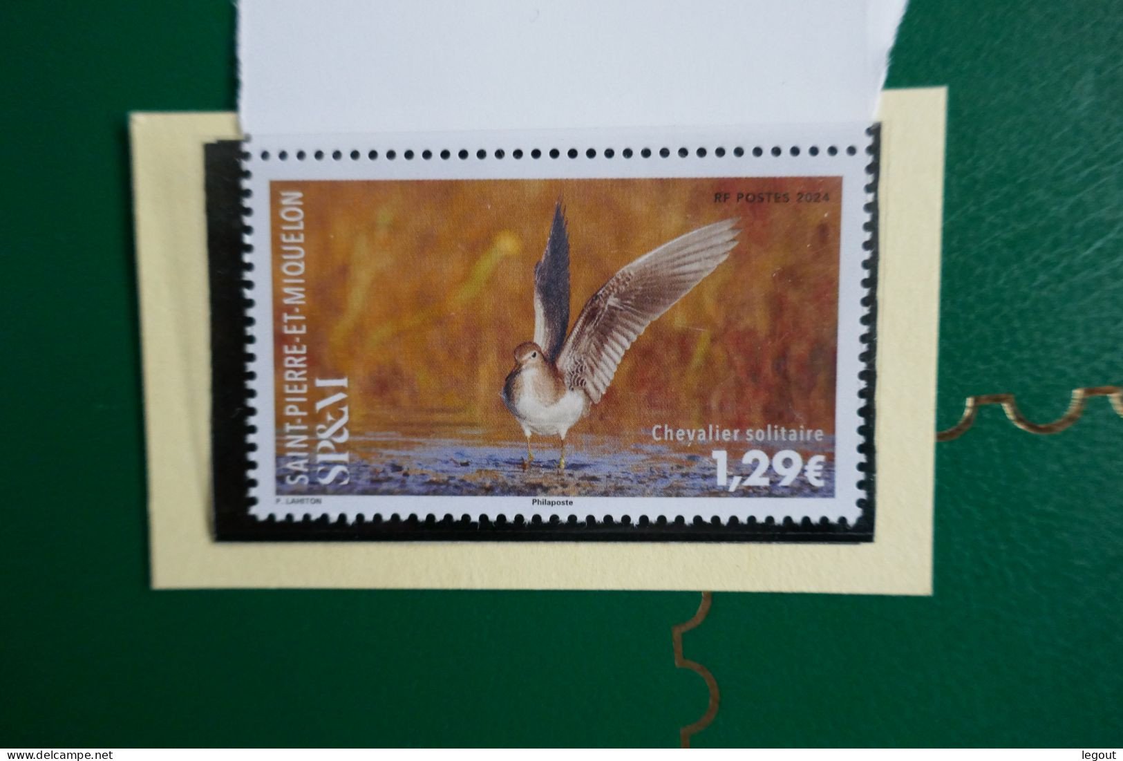 SPM/SAINT PIERRE ET MIQUELON 2024 - SOLITARY SANDPIPER-CHEVALIER SOLIT - Unused Stamps