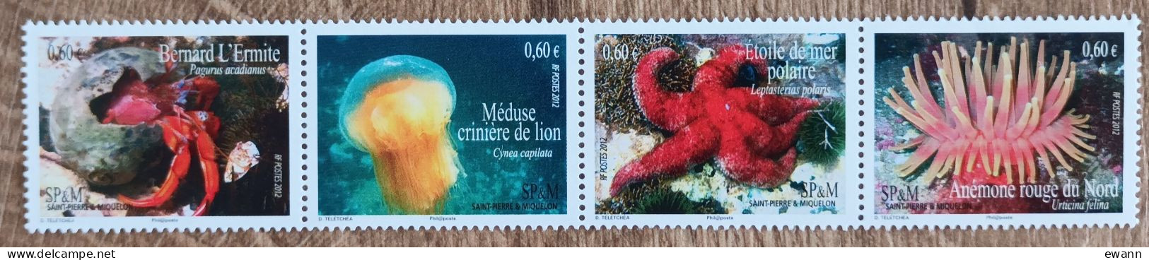 Saint Pierre Et Miquelon - YT N°1034 à 1037 - Faune Marine - 2012 - Neuf - Unused Stamps