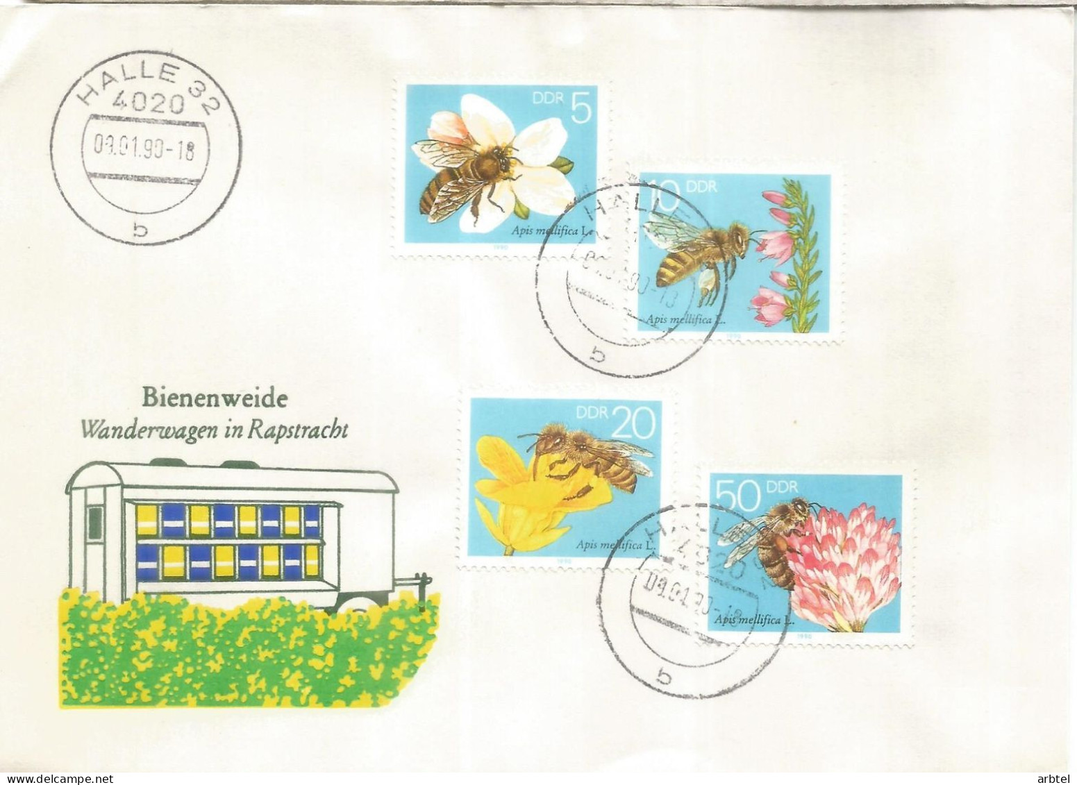ALEMANIA DDR HALLE INSECTO ABEJA BEE - Abeilles