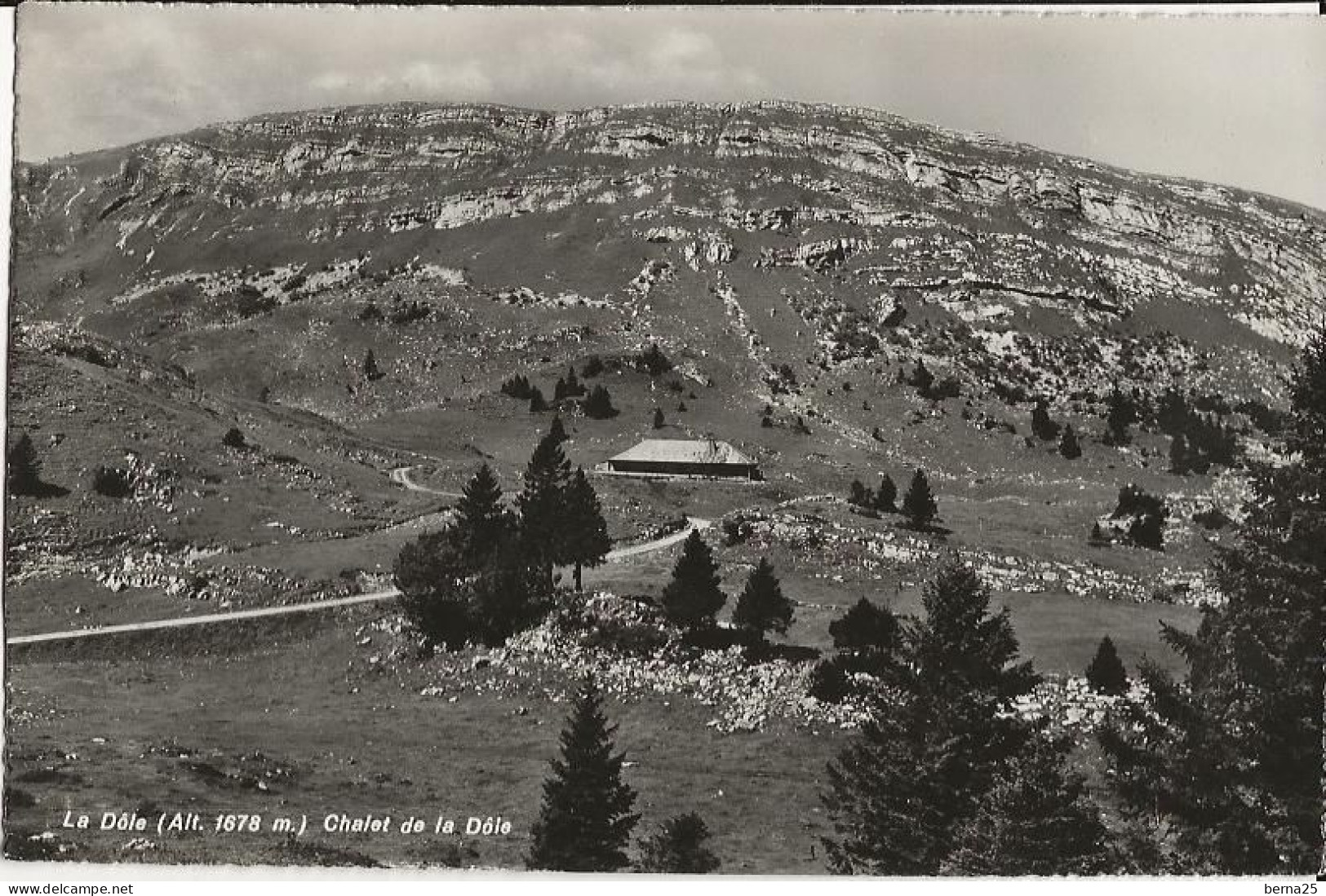 SUISSE CHALET DE LA DOLE CARTE GLACEE NON VOYAGEE - Chéserex