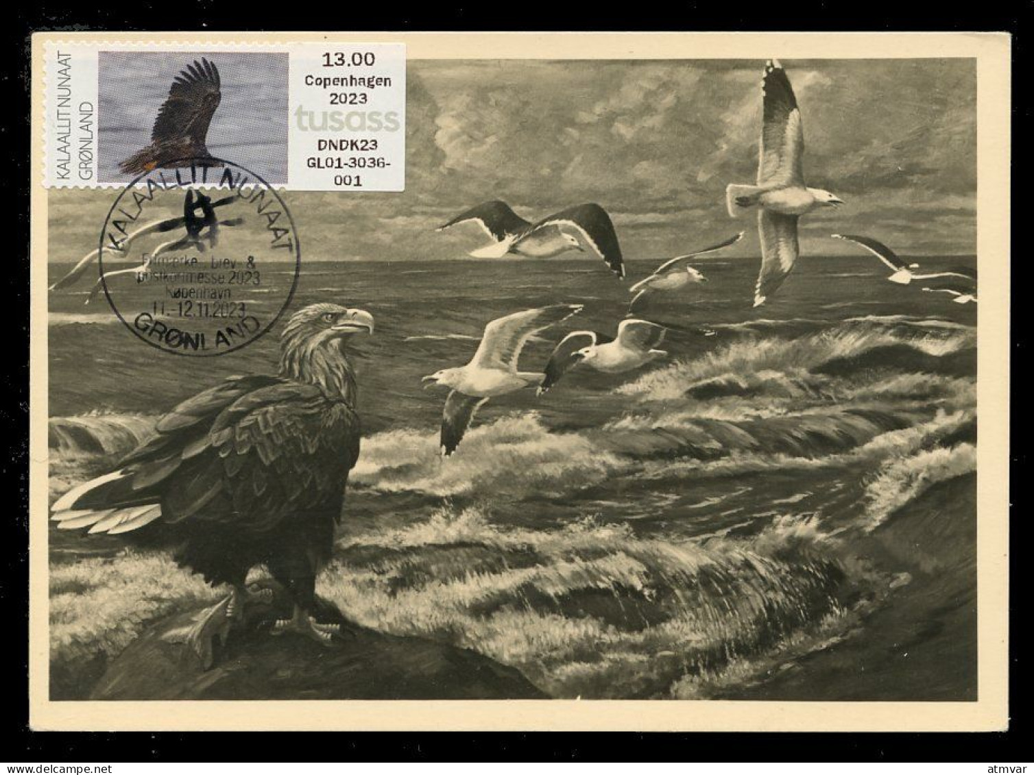 GREENLAND (2023) Carte Maximum Card ATM - White-tailed Eagle, Haliaeetus Albicilla, Pygargue à Queue Blanche, Bird Prey - Maximumkarten (MC)
