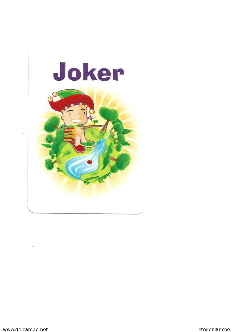 Carte Jeu Illustrée, Joker, Enfant Qui Pêche Au Bord D'une Rivière, Chapeau à Grelot - Route, Panneaux (ACJ) - Barajas De Naipe