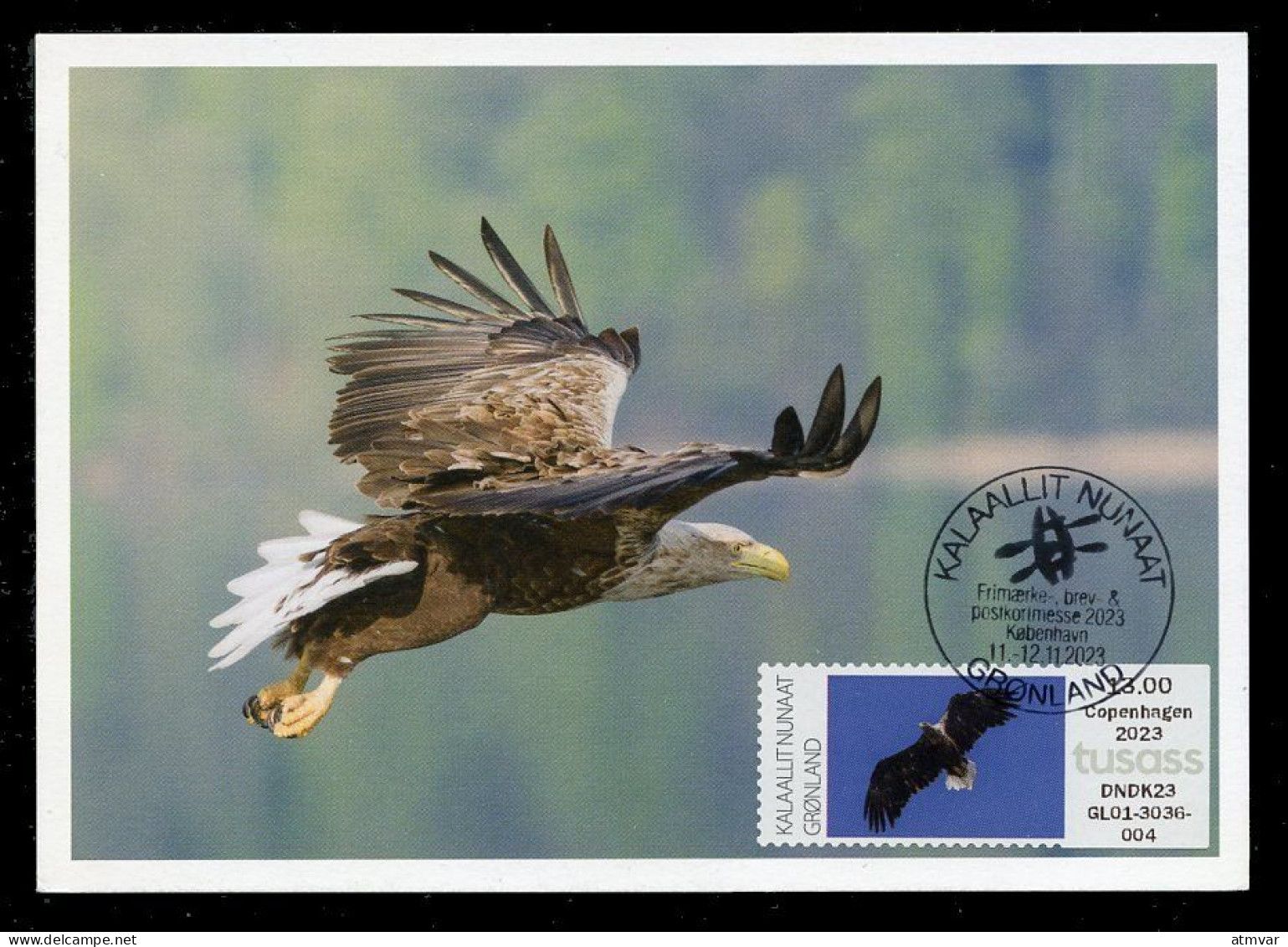 GREENLAND (2023) Carte Maximum Card ATM - White-tailed Eagle, Haliaeetus Albicilla, Pygargue à Queue Blanche, Bird Prey - Cartes-Maximum (CM)