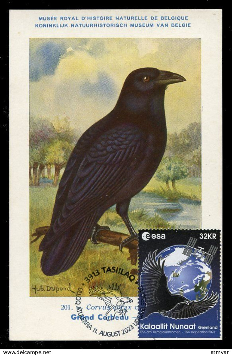 GREENLAND (2023) Carte Maximum Card - ESA Astronaut Andreas Mogensen To ISS, Corvus Corax, Grand Corbeau, Common Raven - Cartoline Maximum