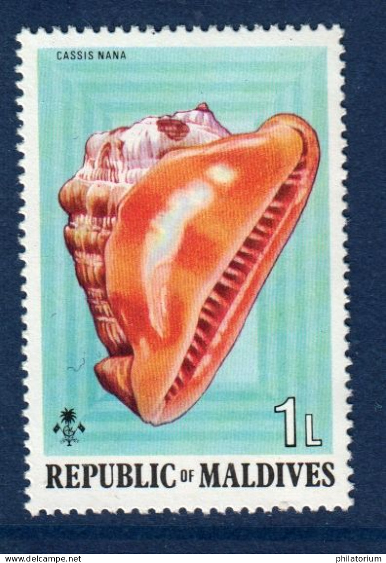 Maldives, **, Yv 511, Mi 551, SG 544, Coquillage, Cassis Nana, - Maldivas (1965-...)