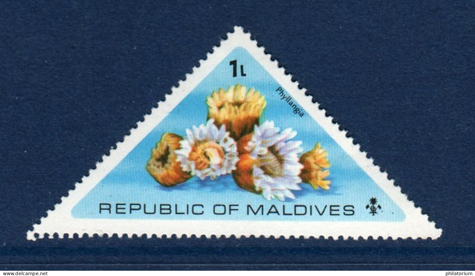 Maldives, **, Yv 533, Mi 577, SG 568, Phyllangia, Corail, - Maldivas (1965-...)