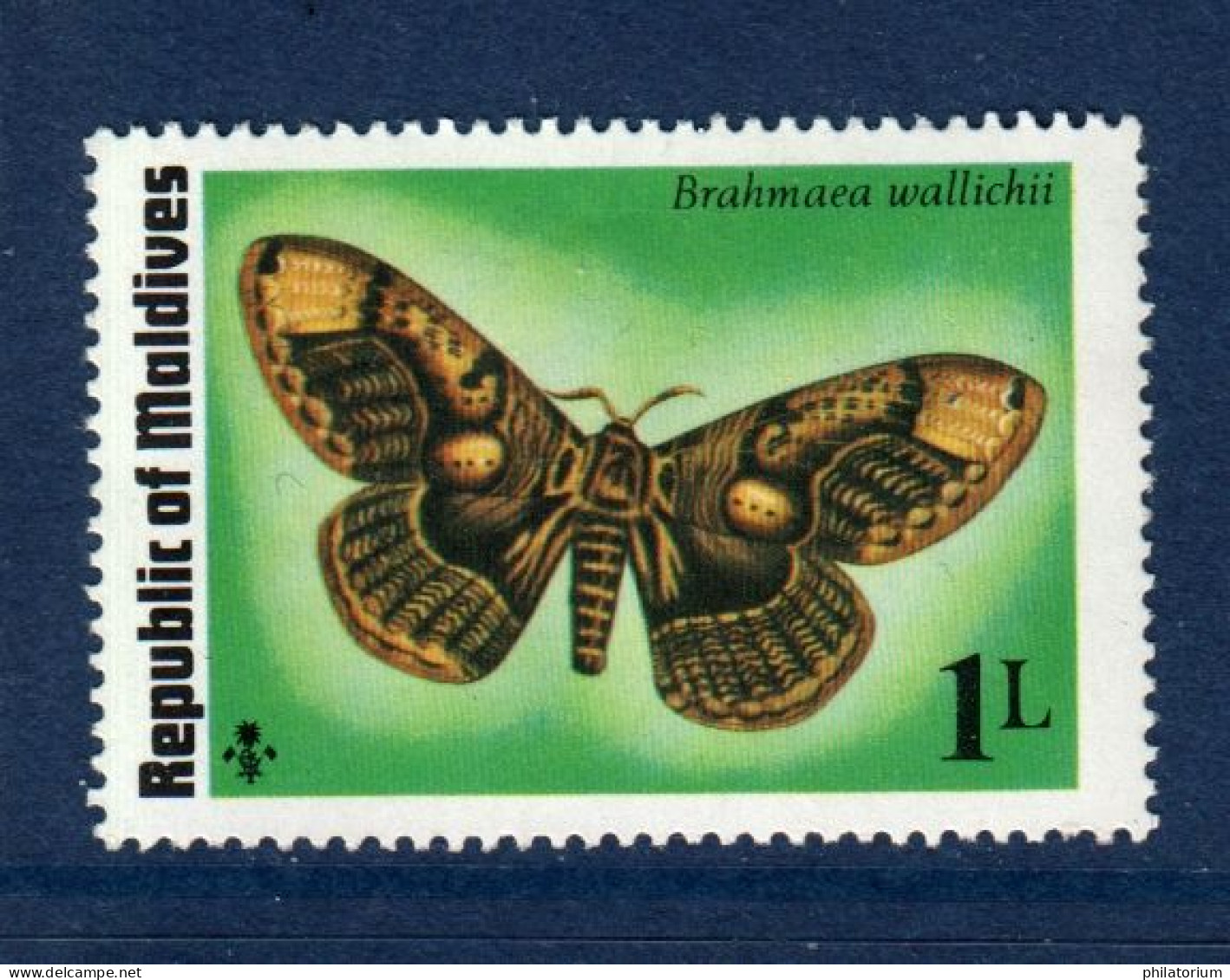 Maldives, **, Yv 557, Mi 604, SG 595, Brahmaea Wallichii Ou Papillon Du Hibou, - Malediven (1965-...)