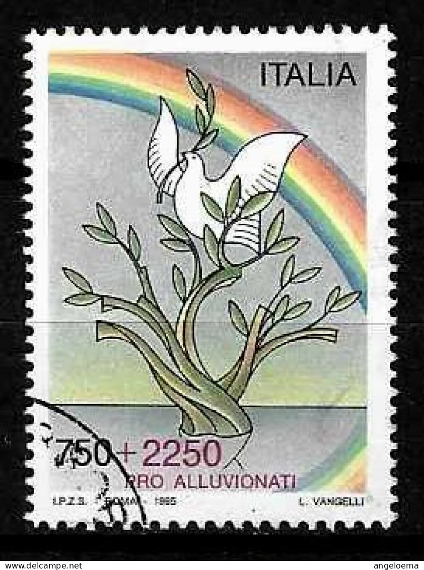 ITALIA ITALY - 1995 Solidarietà PRO ALLUVIONATI Usato - 1991-00: Used