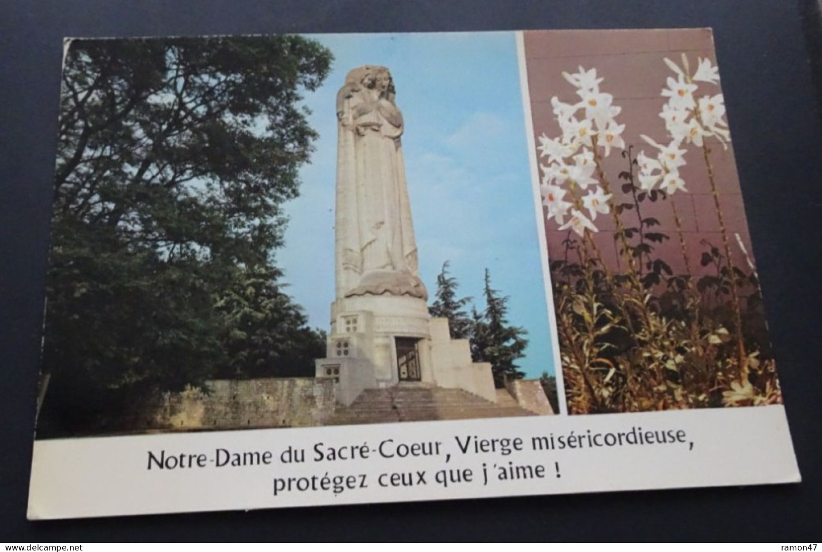 Sanctuaire De Notre-Dame Du Sacré-Coeur - Editions J. Cellard, Bron - Monumentos