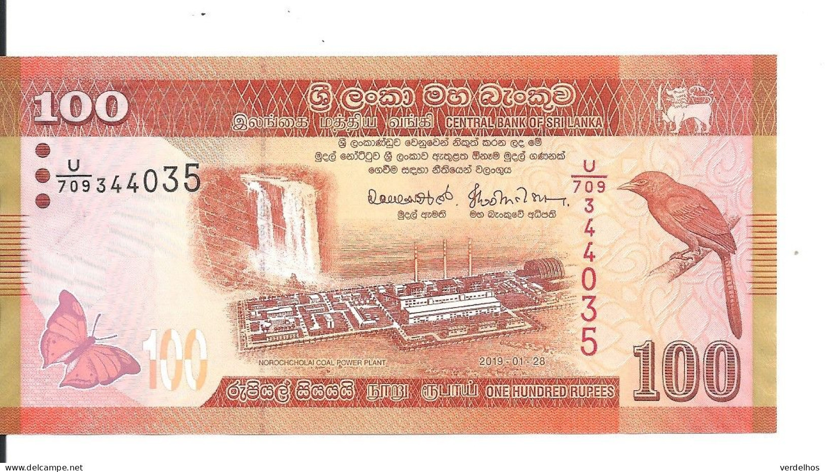 SRI LANKA 100 RUPEES 2019 UNC P 125 - Sri Lanka