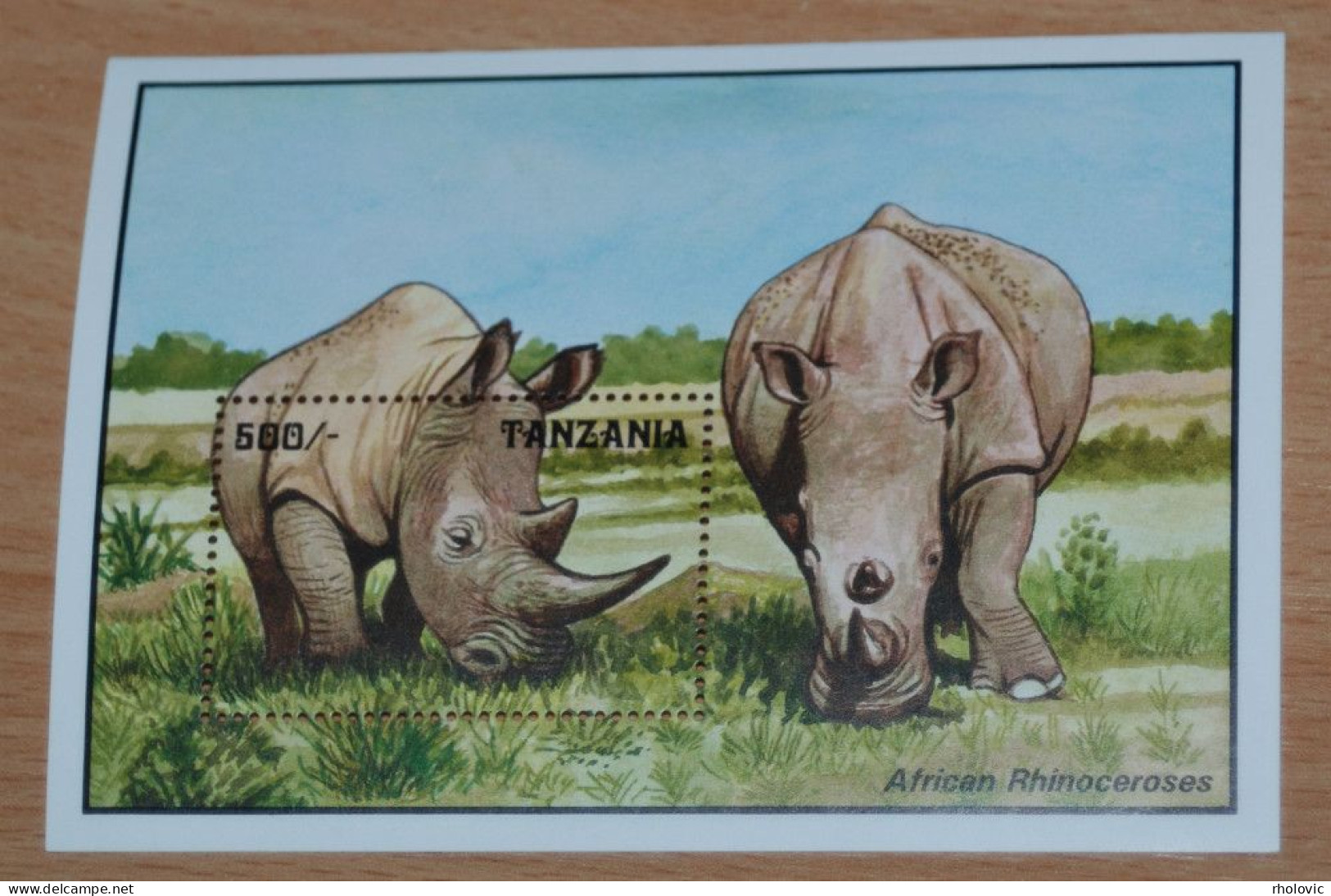 TANZANIA 1996, Rhino, Animals, Fauna, Souvenir Sheet, MNH** - Rinocerontes