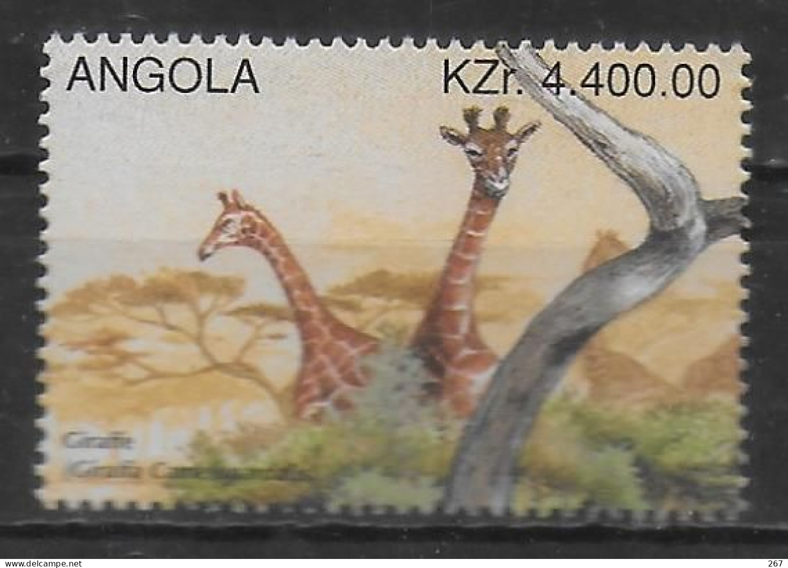ANGOLA    N° 1019 * *  Girafes - Giraffen