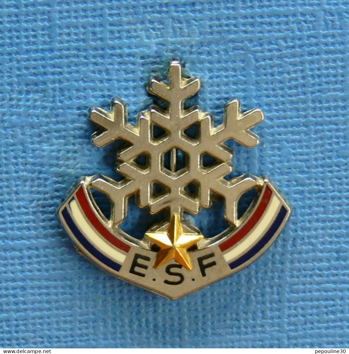 1 BROCHE /  ** E.S.F. / ÉCOLE DE SKI FRANÇAIS UNE ÉTOILE ** . (Beraudy-Vaure Ambert) - Wintersport