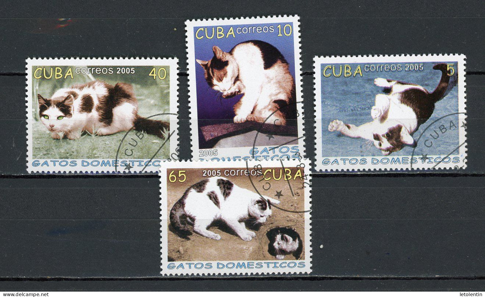 CUBA -  CHATS  N°Yt 4246/4249 Obli. - Used Stamps