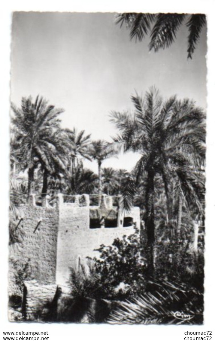 (Algérie) 438, Ghardaia, Combier 107, Habitations Dans Les Jardins - Ghardaïa