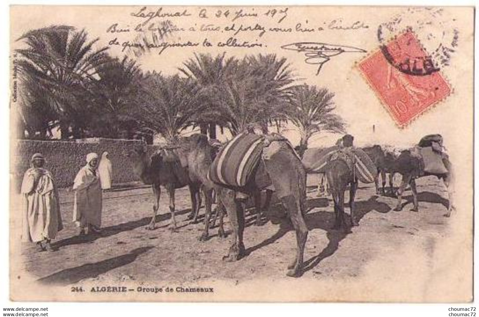 (Algérie) 180, Algérie, Collection Idéale PS 244, Groupe De Chameaux, état - Professioni