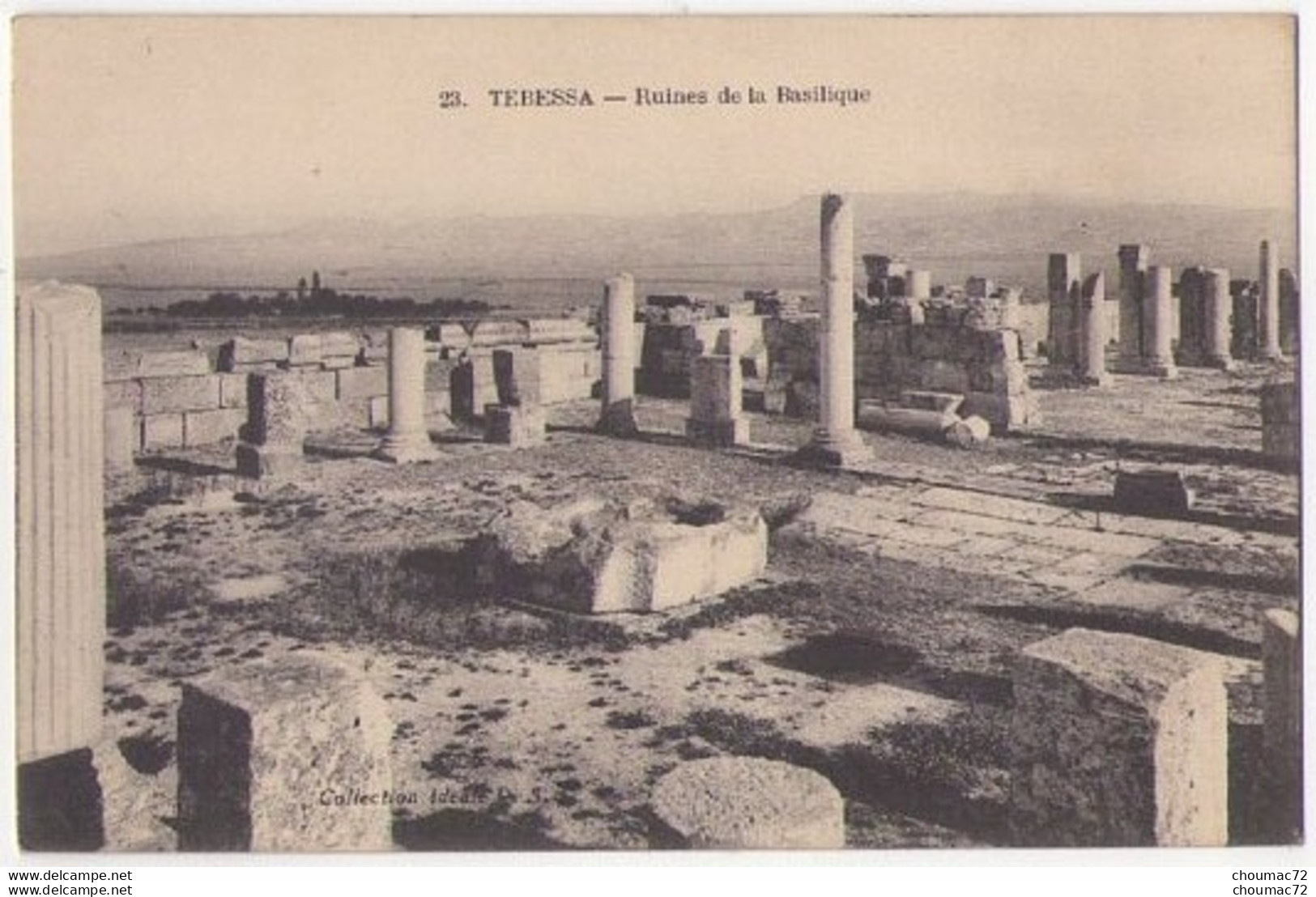 (Algérie) 089, Tebessa, PS 23, Ruines De La Basilique - Tebessa