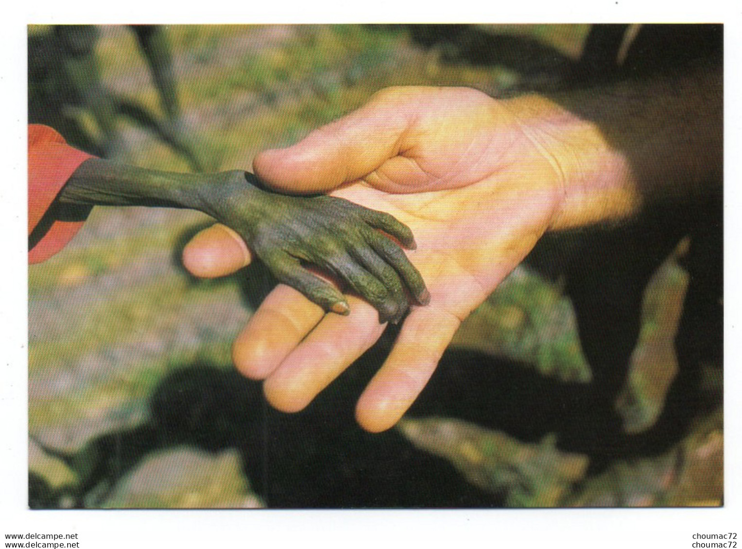 GF Ouganda Uganda 003, Ame Cards MW11, Priest Of The Verona Fathers Holds The Hand Of A Starving Karamojong Boy 1980 - Ouganda