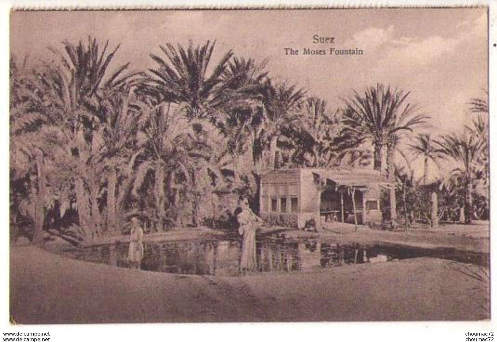 (Egypte) 252, Suez, The Postcard Trust T 846, La Fontaine De Loise, D'un Carnet - Sues