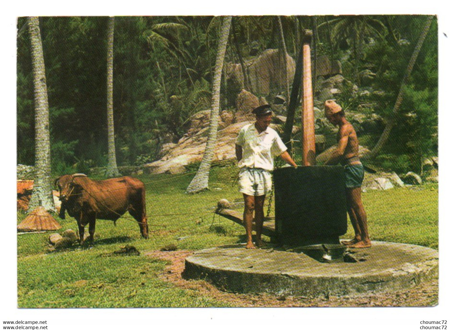 Seychelles 008, Photo Eden, Traditional Bullock-powered Coconut Oil Mil - Seychellen