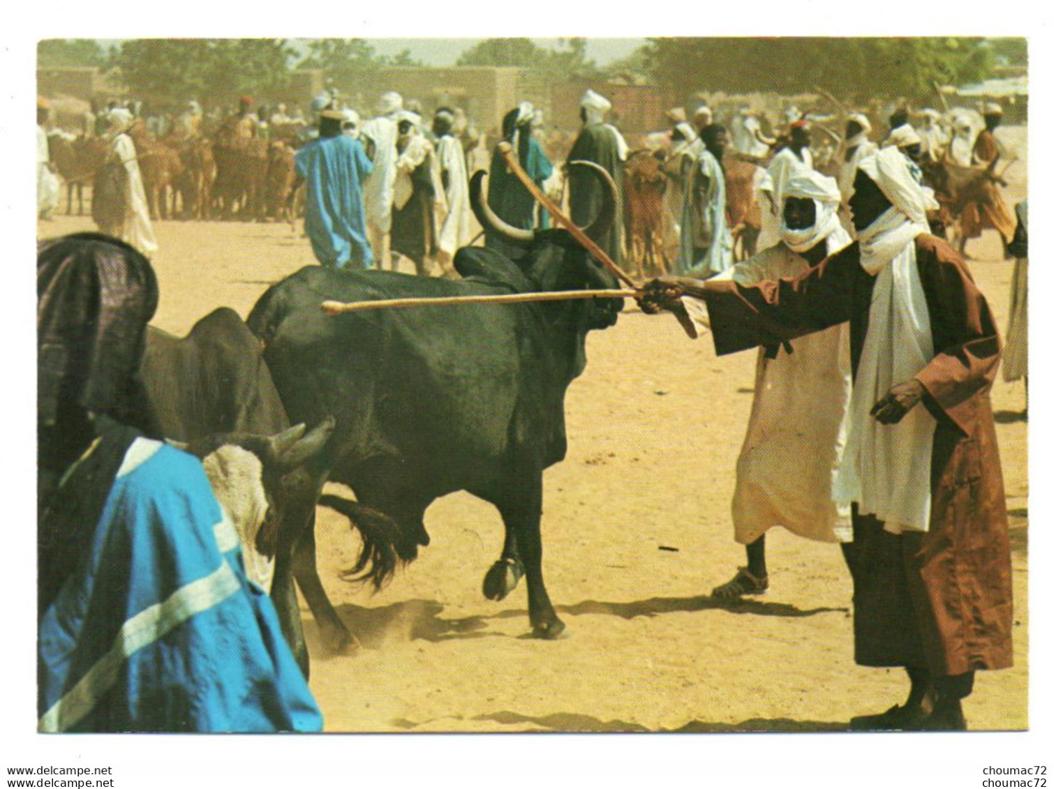 GF Niger 018, Photo Maurice Ascani 24, Marché D'Ayourou - Niger