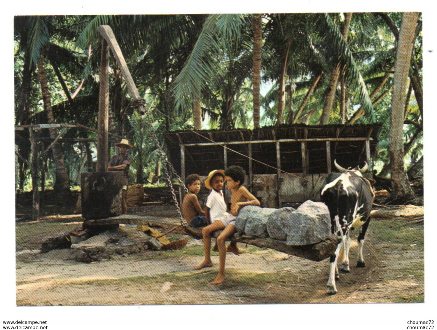 Seychelles 002, Photo Eden 126, Processing Coconut Oil At La Digue - Seychelles