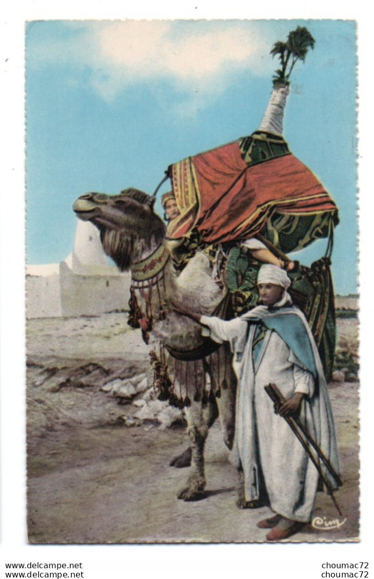 (Algérie) 096, Collection Artistique L'Afrique, Combier 506, Types Du Sud, Un Bassour - Mannen