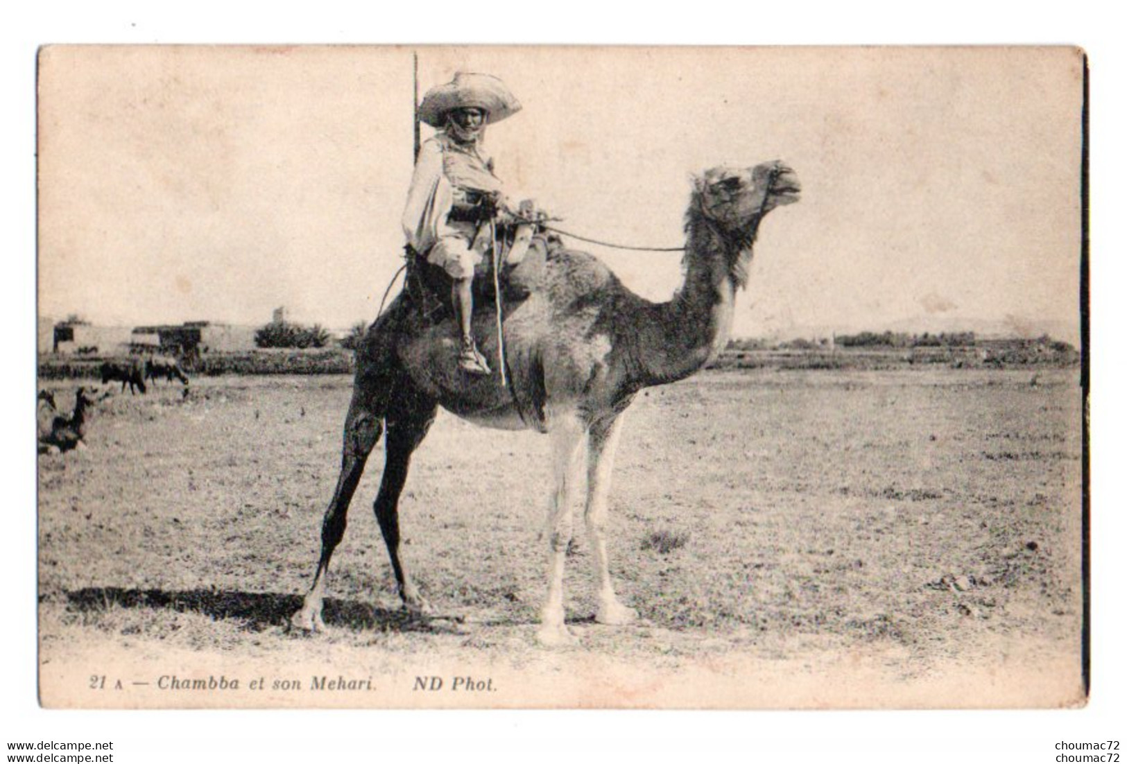 (Algérie) 130, ND Phot 21 A, Chambba Et Son Mehari - Berufe