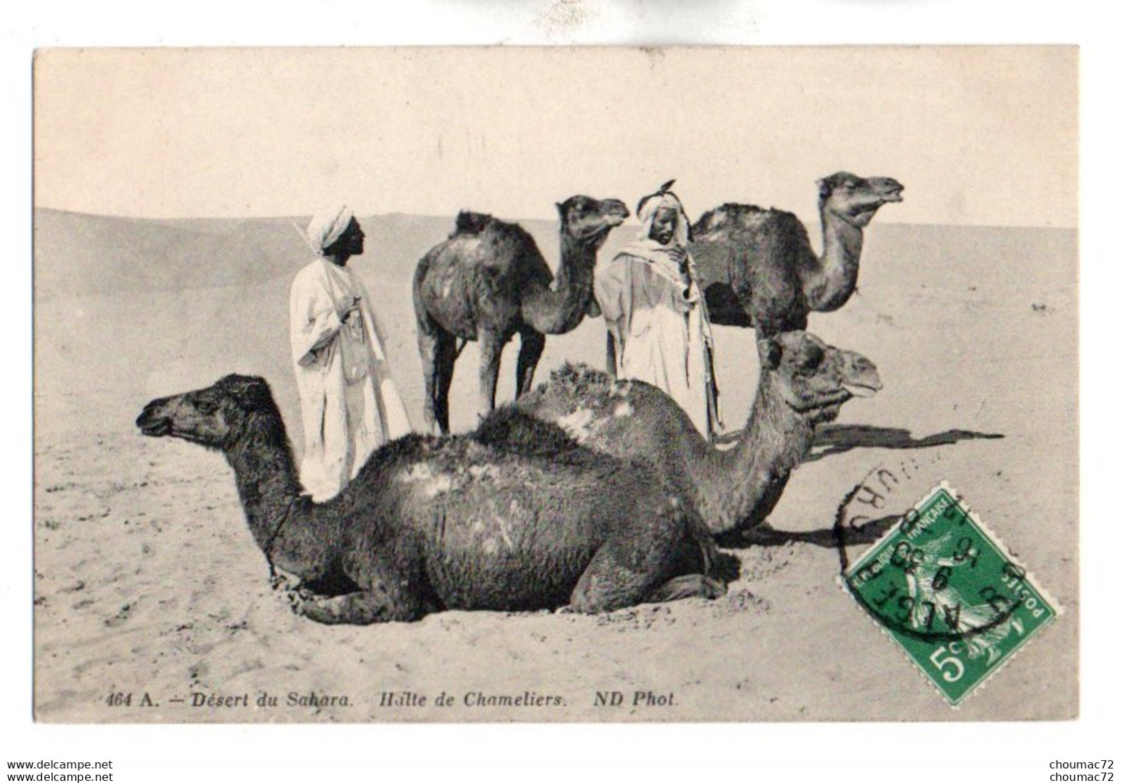 (Algérie) 136, ND Phot 464 A, Desert Du Sahara, Halte De Chameleirs - Métiers