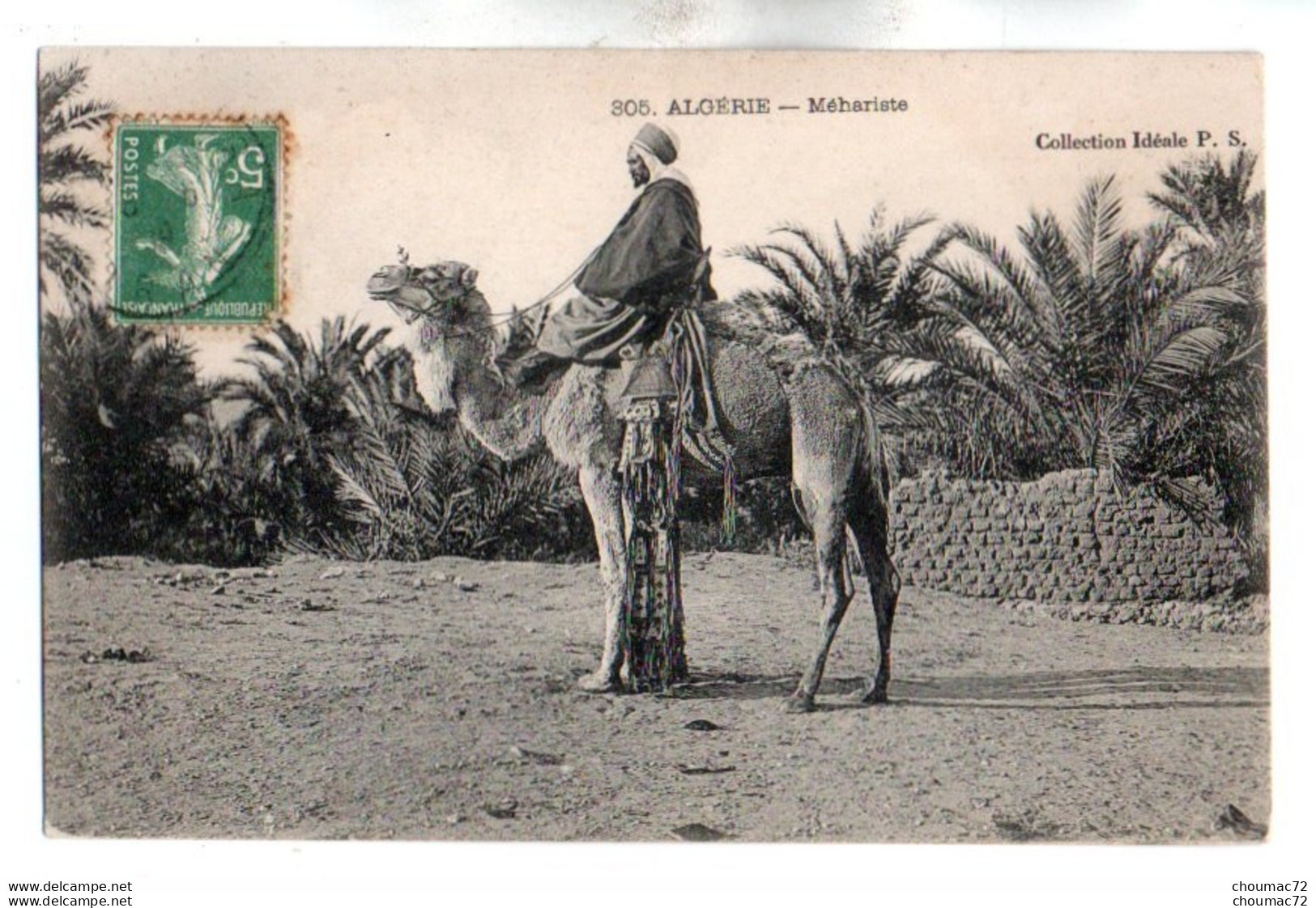 (Algérie) 120, Collection Ideale PS 305, Méhariste - Hommes