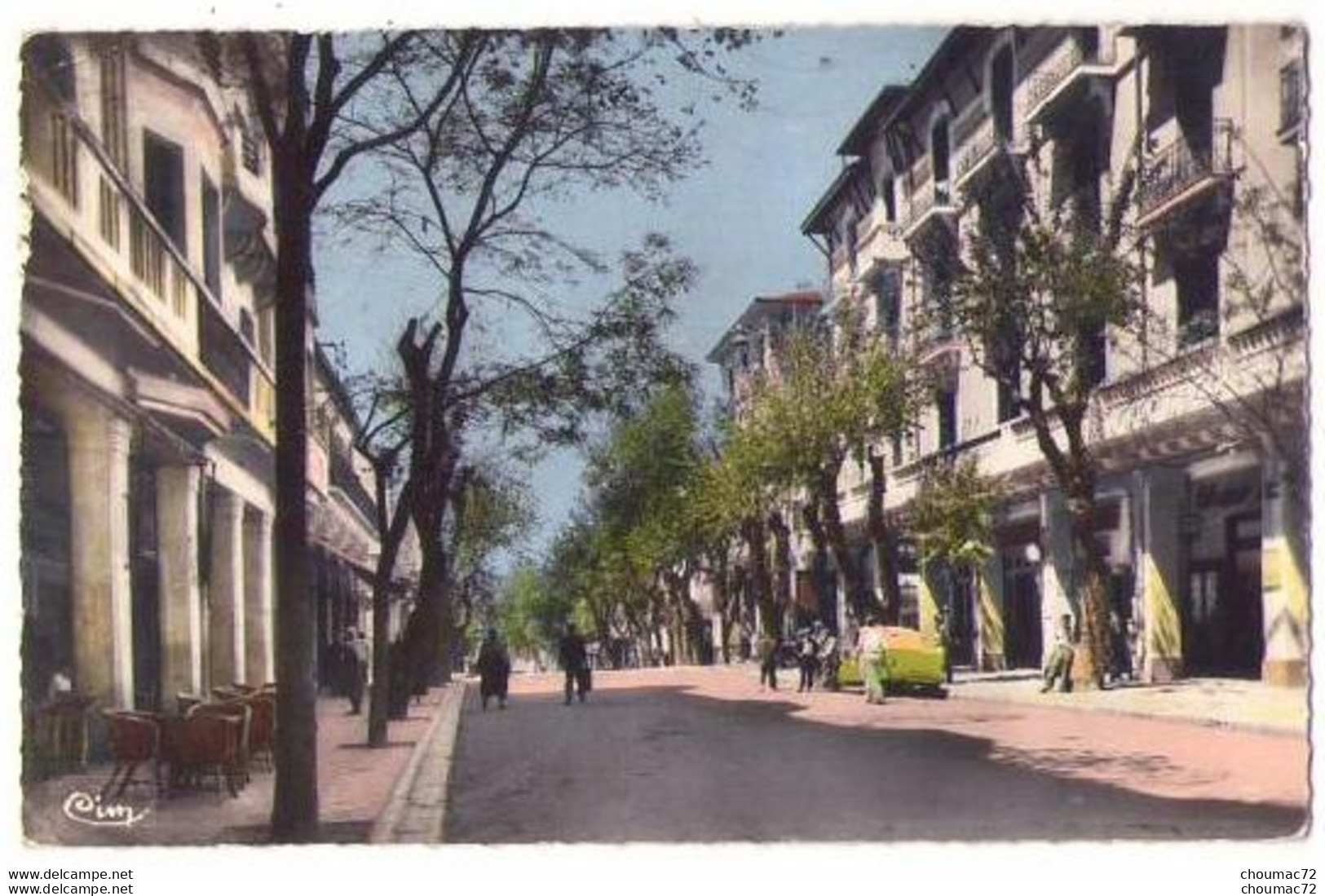 (Algérie) 267, Sétif, Combier 1 Bis, Avenue Principale Georges Clemenceau - Sétif
