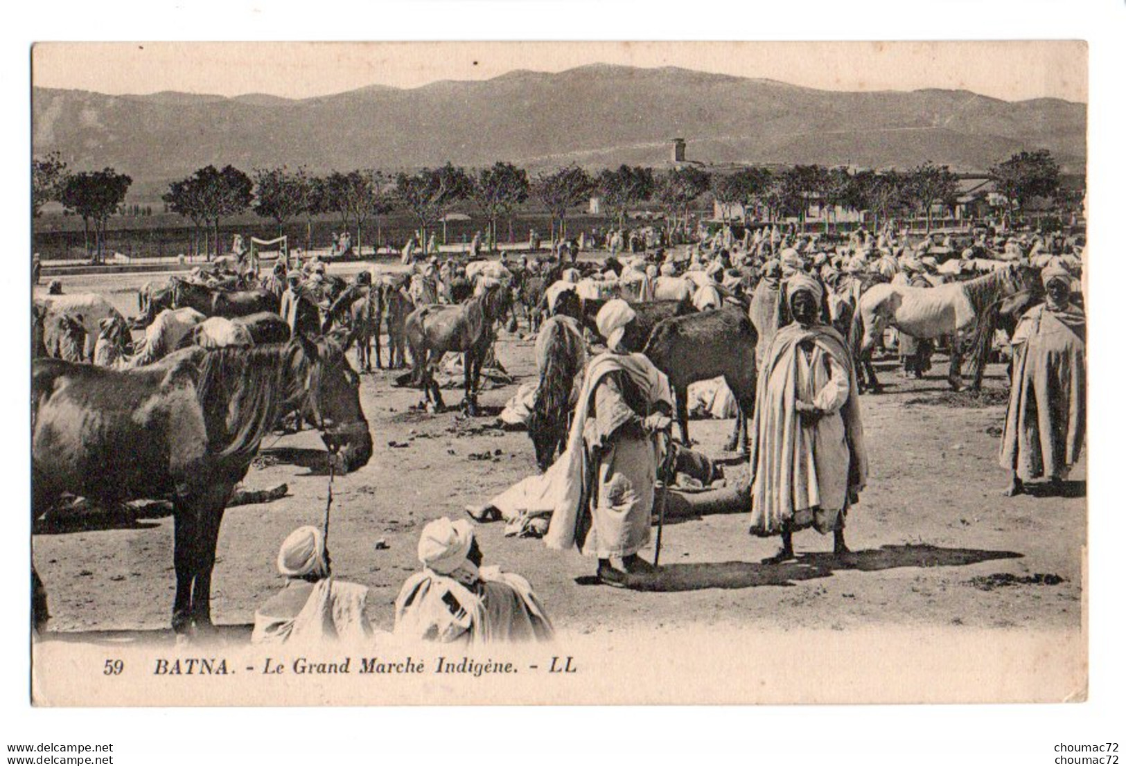 (Algérie) 514, Batna, LL 59, Le Grand Marché Indigène, D'un Carnet - Batna