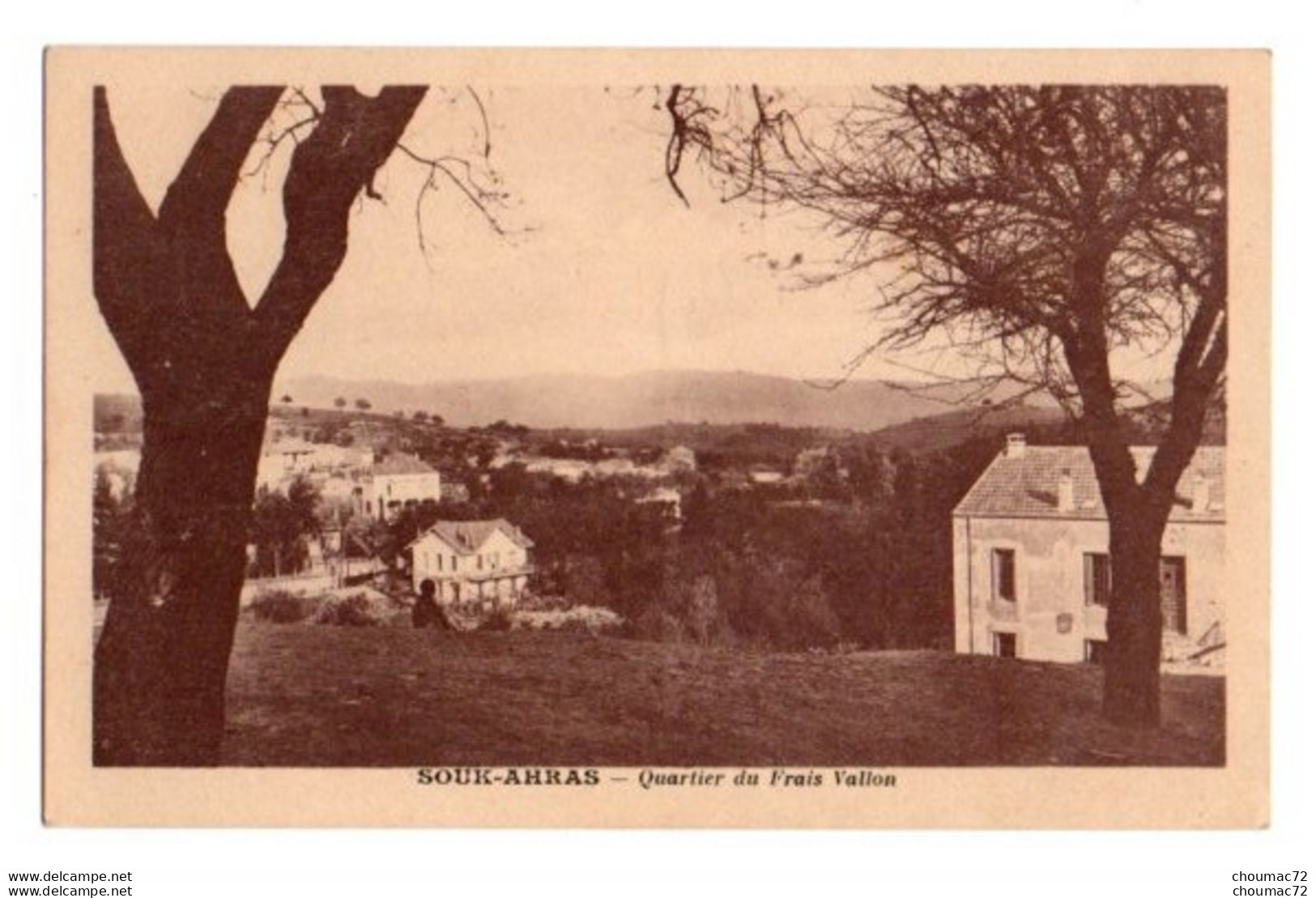 (Algérie) 376, Souk-Ahras, Alfred Levy, Quartier Du Frais Vallon - Souk Ahras