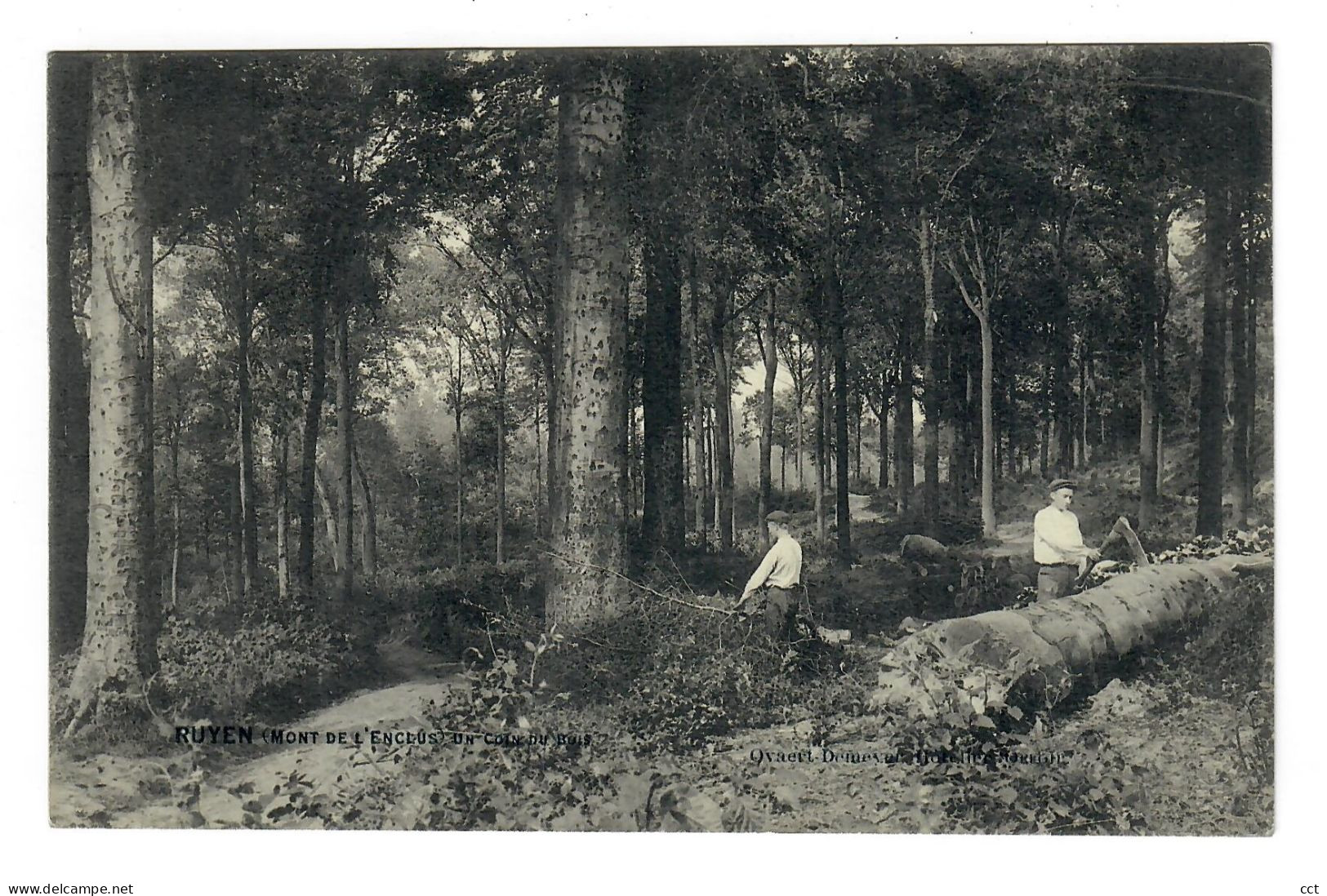 Ruyen  Ruien  Kluisbergen   Mont De L'Enclus  Un Coin Du Bois - Kluisbergen