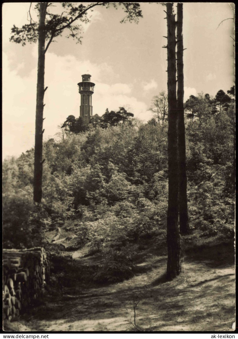 Ansichtskarte Bad Freienwalde Partie Am Aussichtsturm Zur DDR-Zeit 1970 - Bad Freienwalde