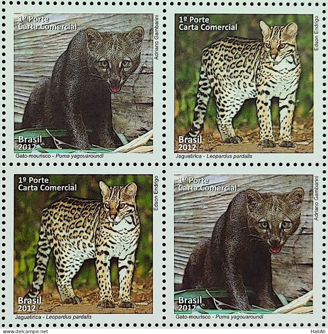 C 3217 Brazil Stamp Fauna Moorish Cat And Ocelot Feline 2012 Block Of 4 - Unused Stamps