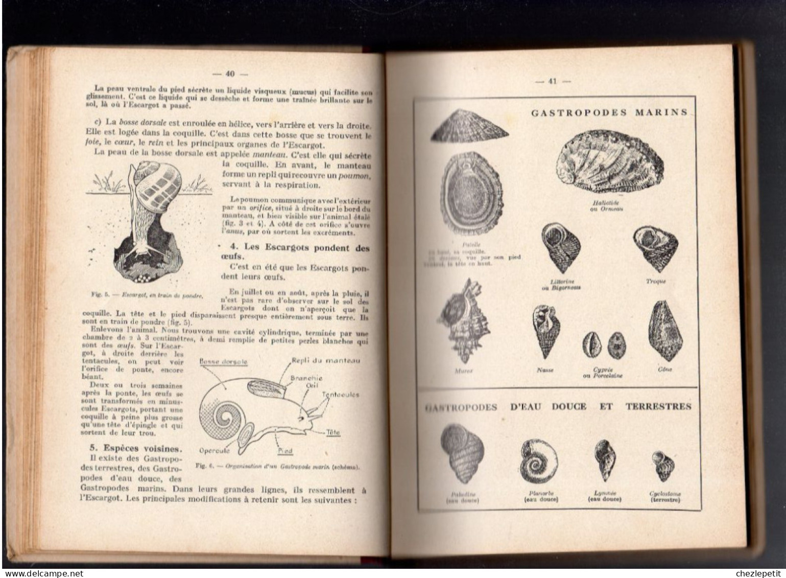 SCIENCES NATURELLES Classe De Cinquième V.Régnier M.Chadefaud DELAGRAVE 1939 - 12-18 Años