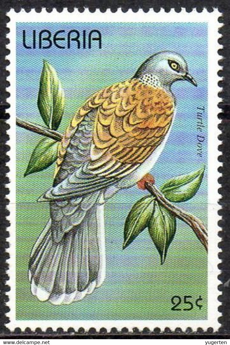 LIBERIA 1996 - 1v - MNH - Turtle Dove - Birds - Oiseaux Aves Vögel Птицы 鸟类 Uccelli Pájaros - Piccioni & Colombe