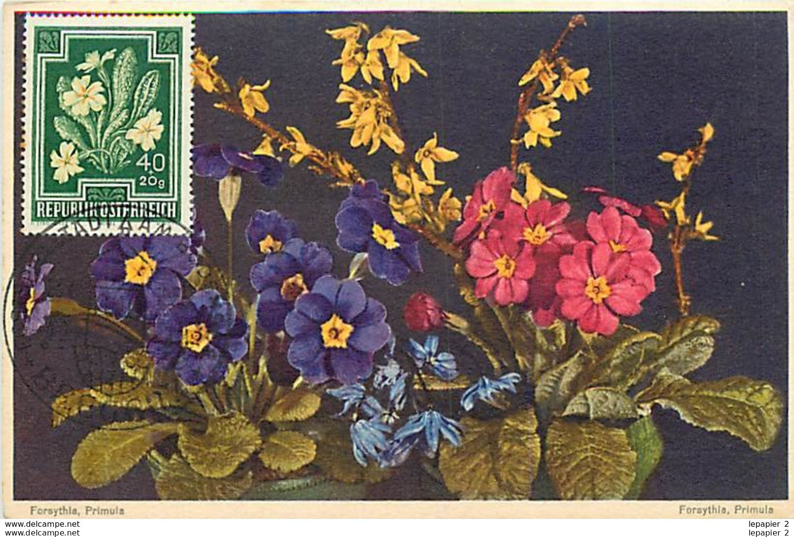 Autriche Lot De 7 Fleurs Flowers  Maximum Card CM - Maximumkarten (MC)
