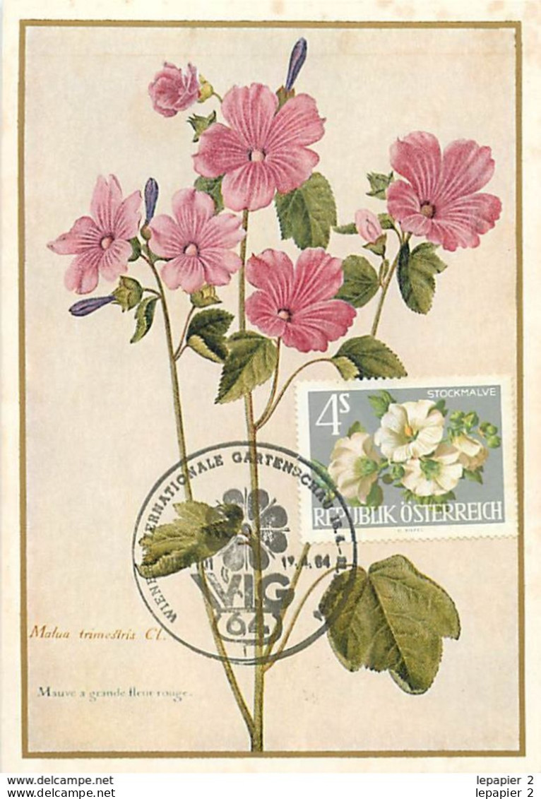 Autriche Lot de 7 Fleurs Flowers  Maximum Card CM