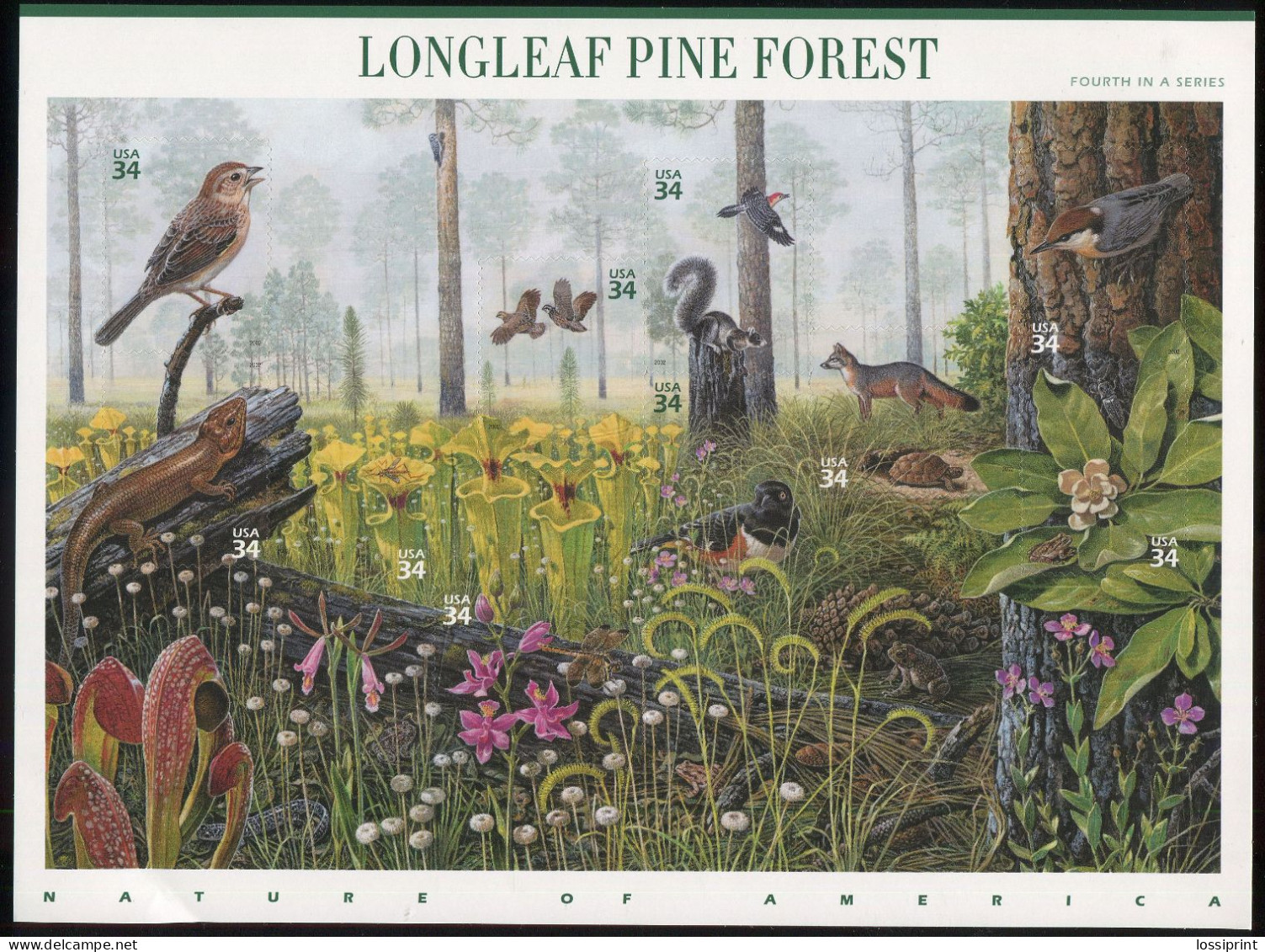 United States:USA:Unused Stamps Sheet Longleaf Pine Forest, Flowers, Animals, Birds, Frog, Turtle, Fox, Snake, 2002, MNH - Nuovi