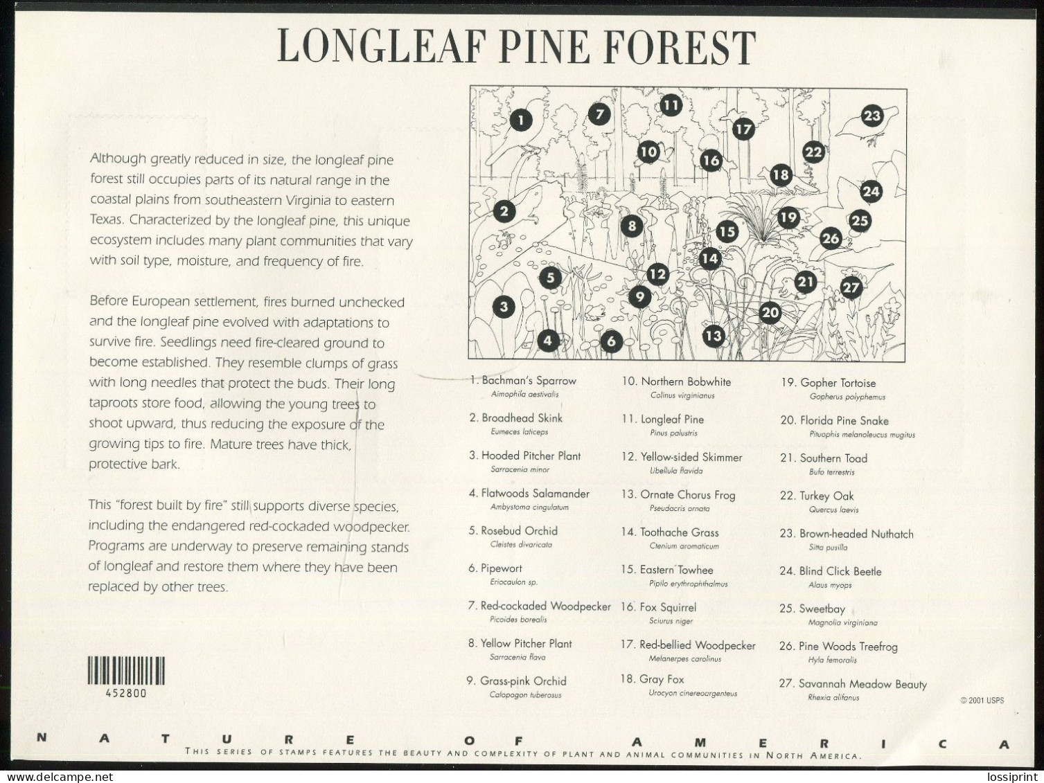 United States:USA:Unused Stamps Sheet Longleaf Pine Forest, Flowers, Animals, Birds, Frog, Turtle, Fox, Snake, 2002, MNH - Ongebruikt