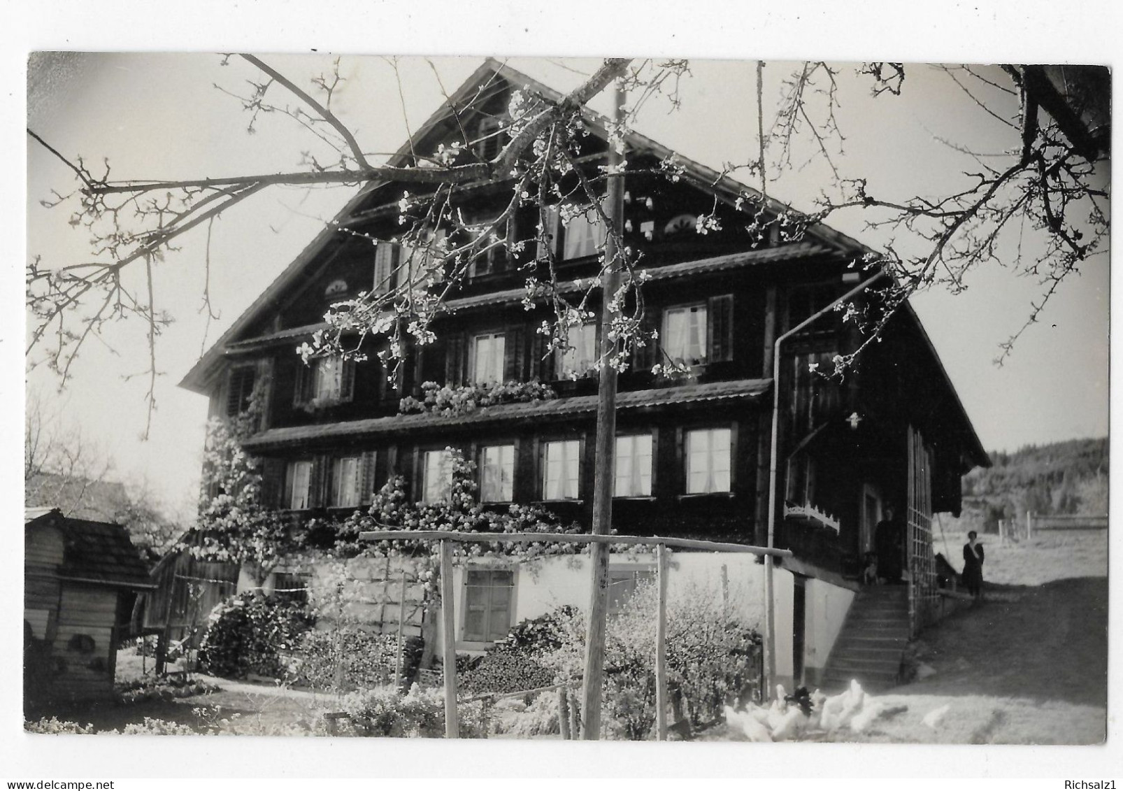 Heimat Zug: Ansicht Von Haltenbühl In Oberägeri Um 1930 - Oberägeri