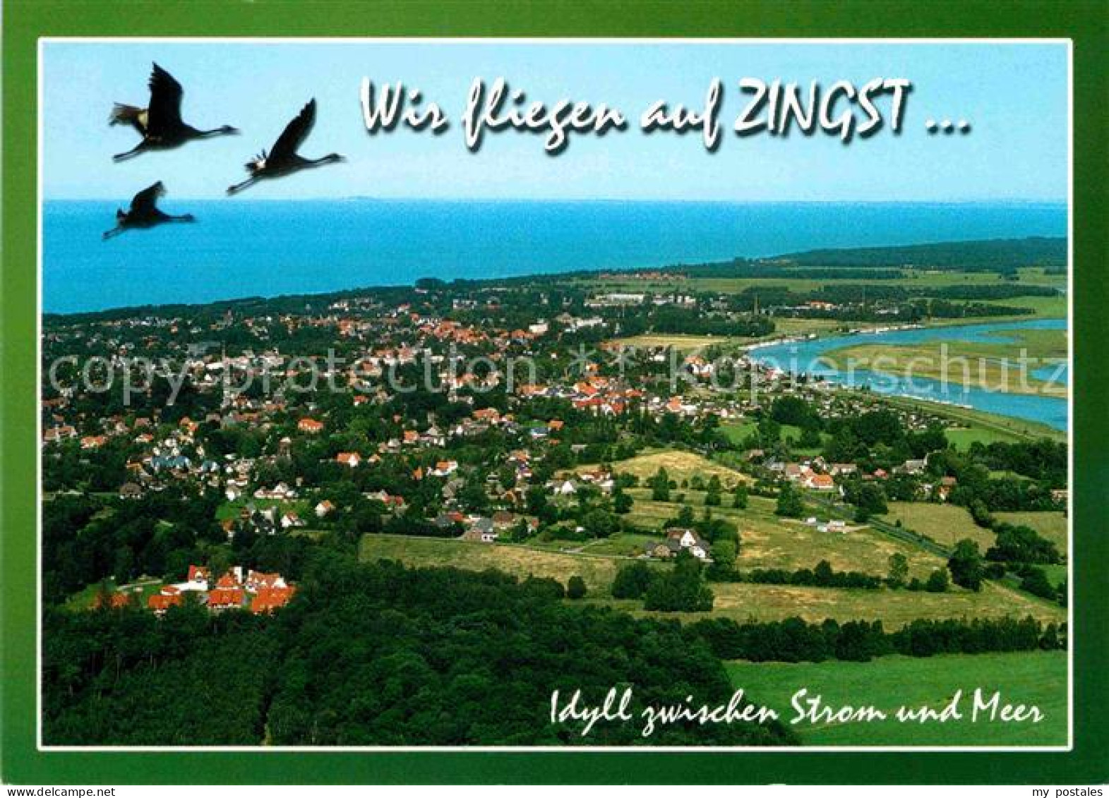 72640435 Zingst Ostseebad Schwaene Fliegeraufnahme Zingst - Zingst