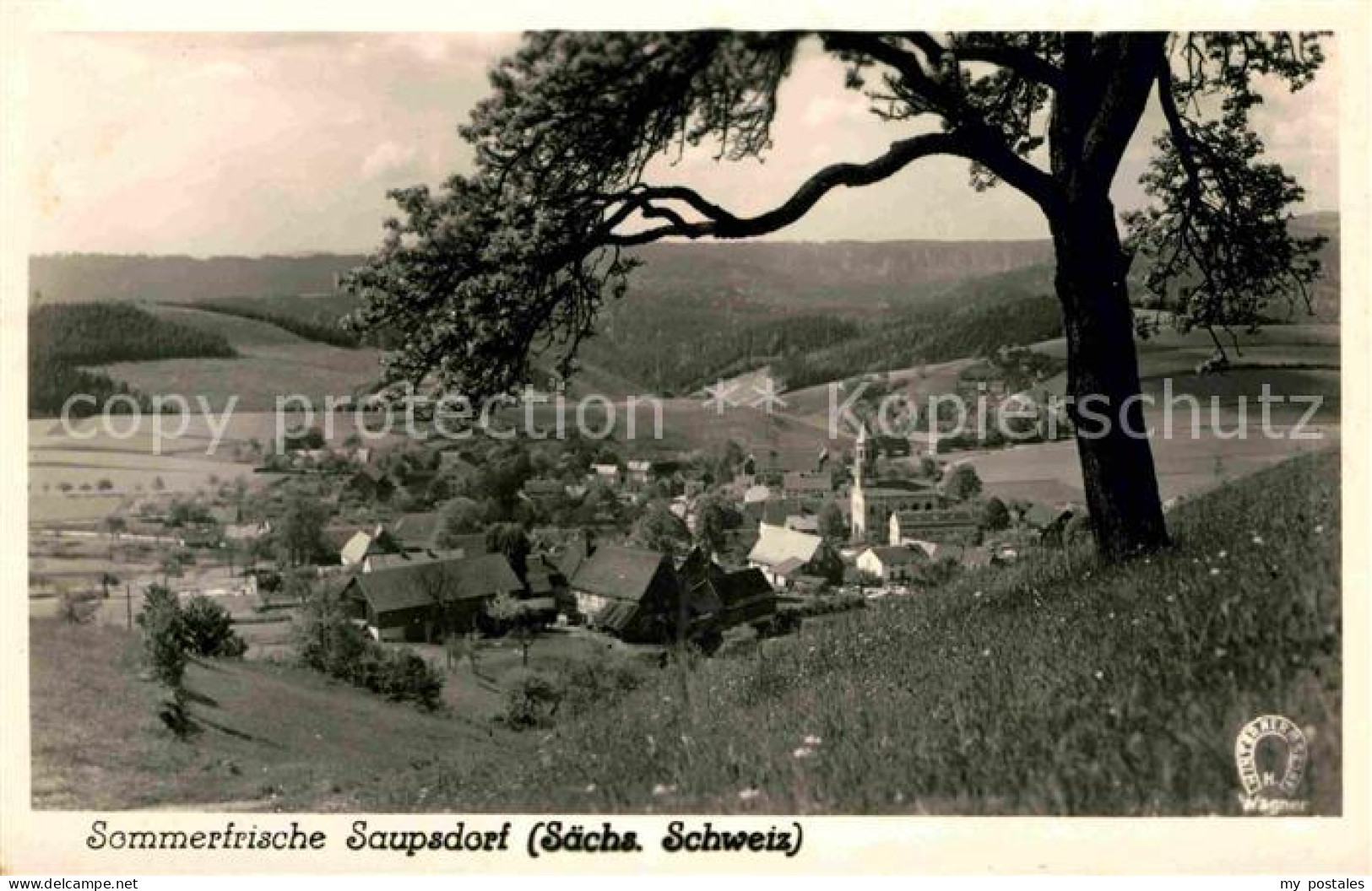 72639789 Saupsdorf Panorama Kirnitzschtal - Kirnitzschtal