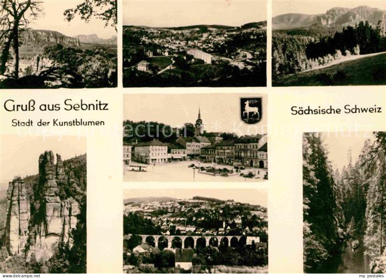 72639480 Sebnitz Kunstblumen Panorama Sebnitz - Sebnitz