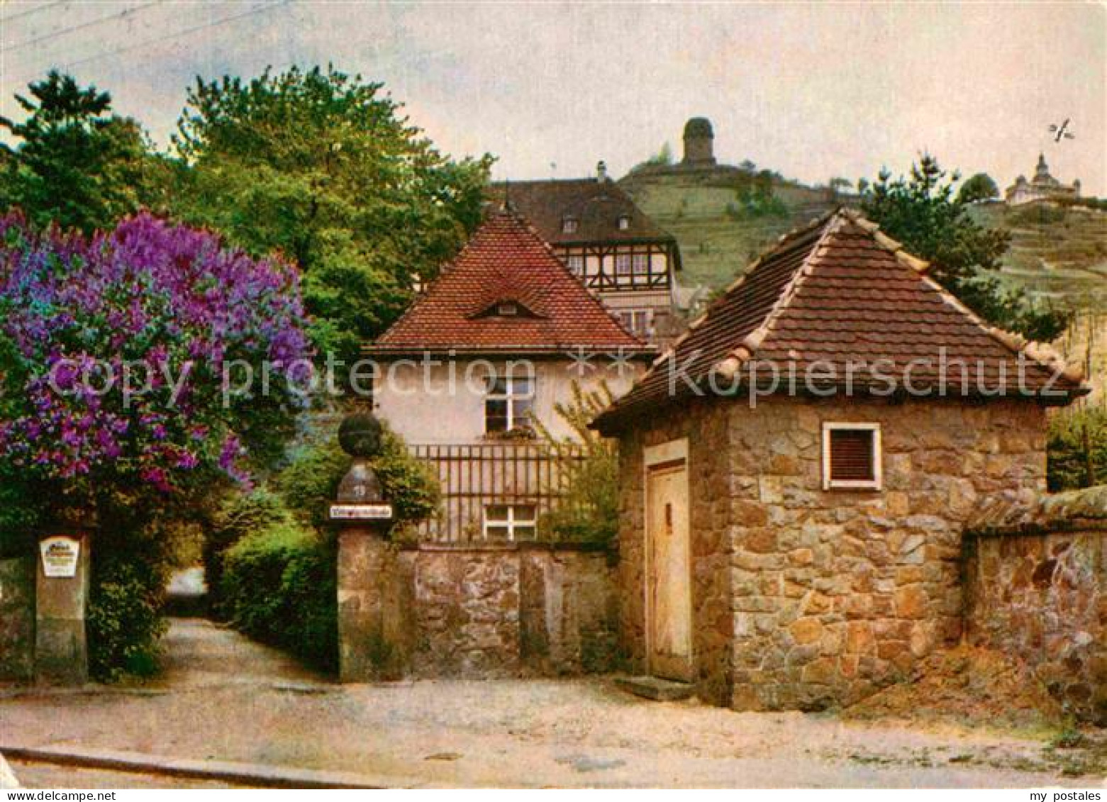 72639319 Radebeul Loessnitz Schloss Hofloessnitz Radebeul - Radebeul